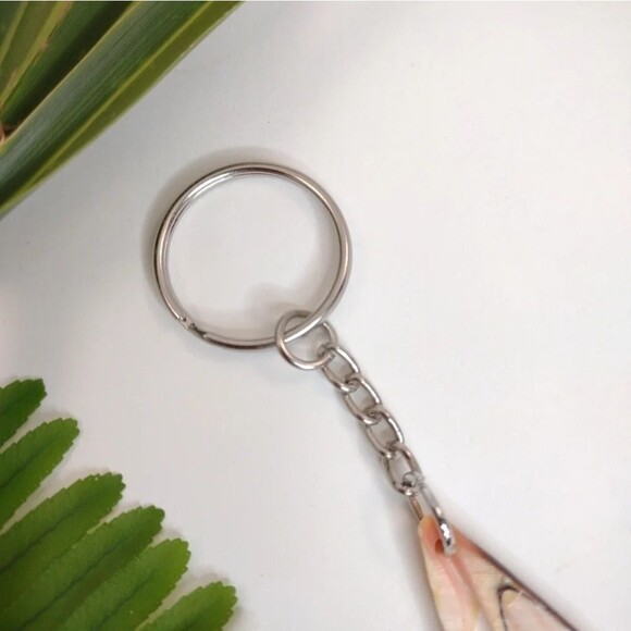 Seashell Keyring Slice Conch Seashell Clearwater Beach, Florida - Picture 2 of 13